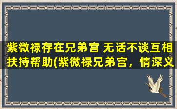 紫微禄存在兄弟宫 无话不谈互相扶持帮助(紫微禄兄弟宫，情深义重同呼吸！)